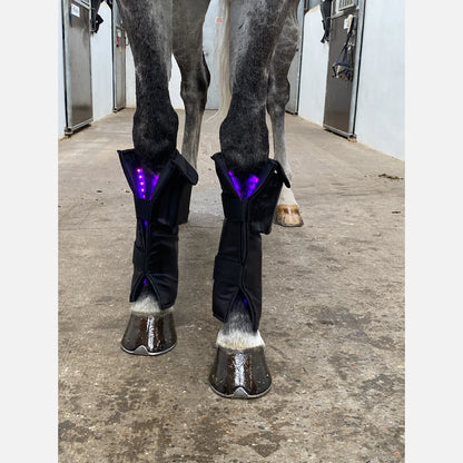 Equine LTS Supreme - 2 Pieces (Pair)