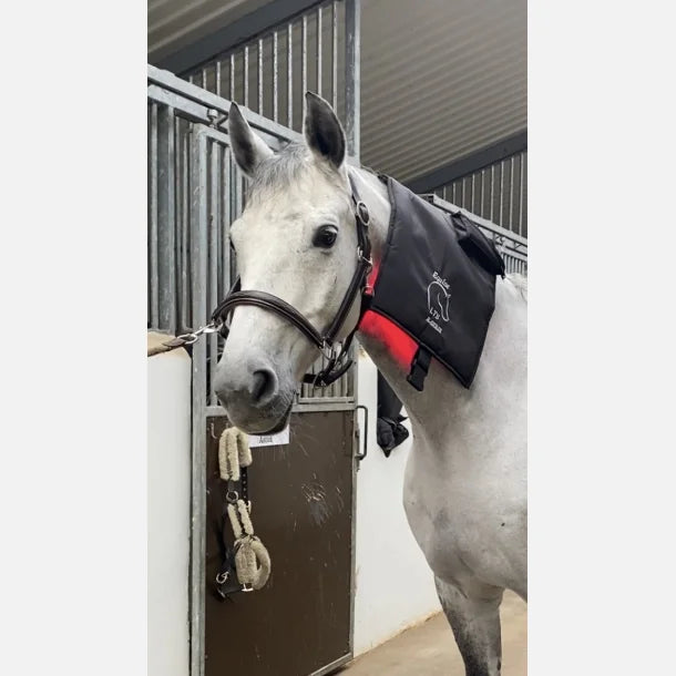 Equine LTS R-Serie Mini Pro