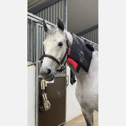 Equine LTS R-Serie Mini Pro