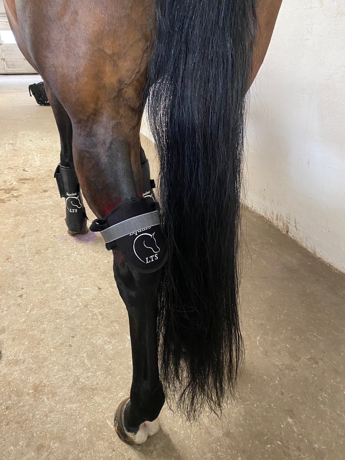 Versatile Poll 2.0 Supreme + Elastic belt