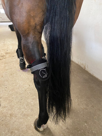 Versatile Poll 2.0 Supreme + Elastic belt