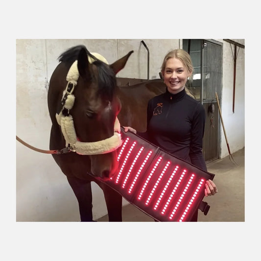 Equine LTS R-Serie Mini Pro