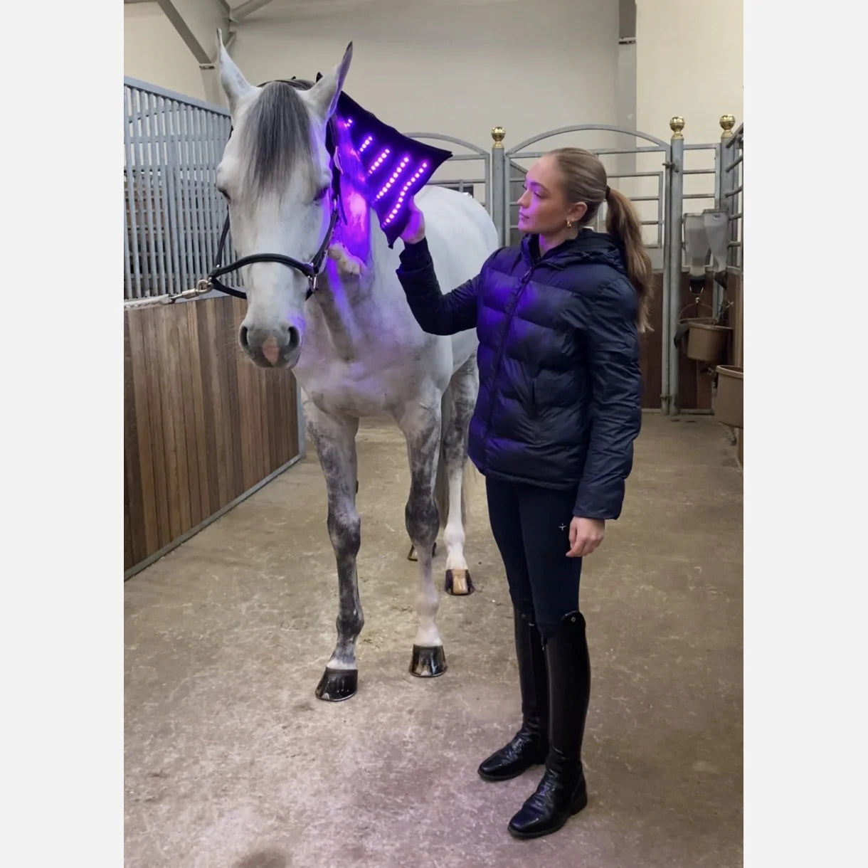 Equine LTS 3.0 – 2 Pieces (Pair)