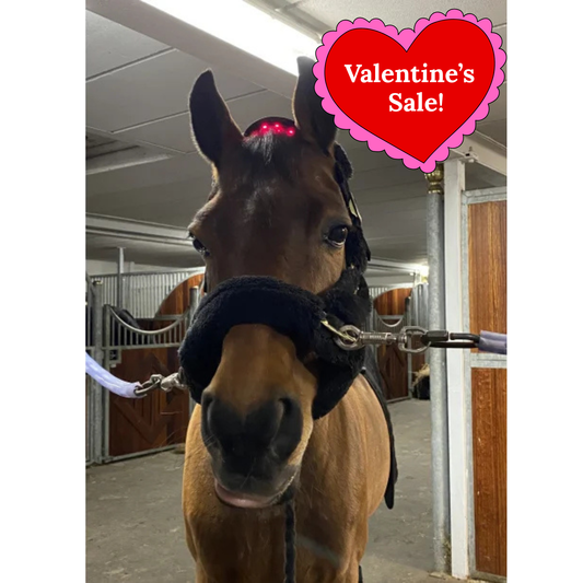 Equine LTS - Versatile Red & Near-InfraRed Poll Cap