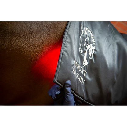 Equine LTS Topline Action