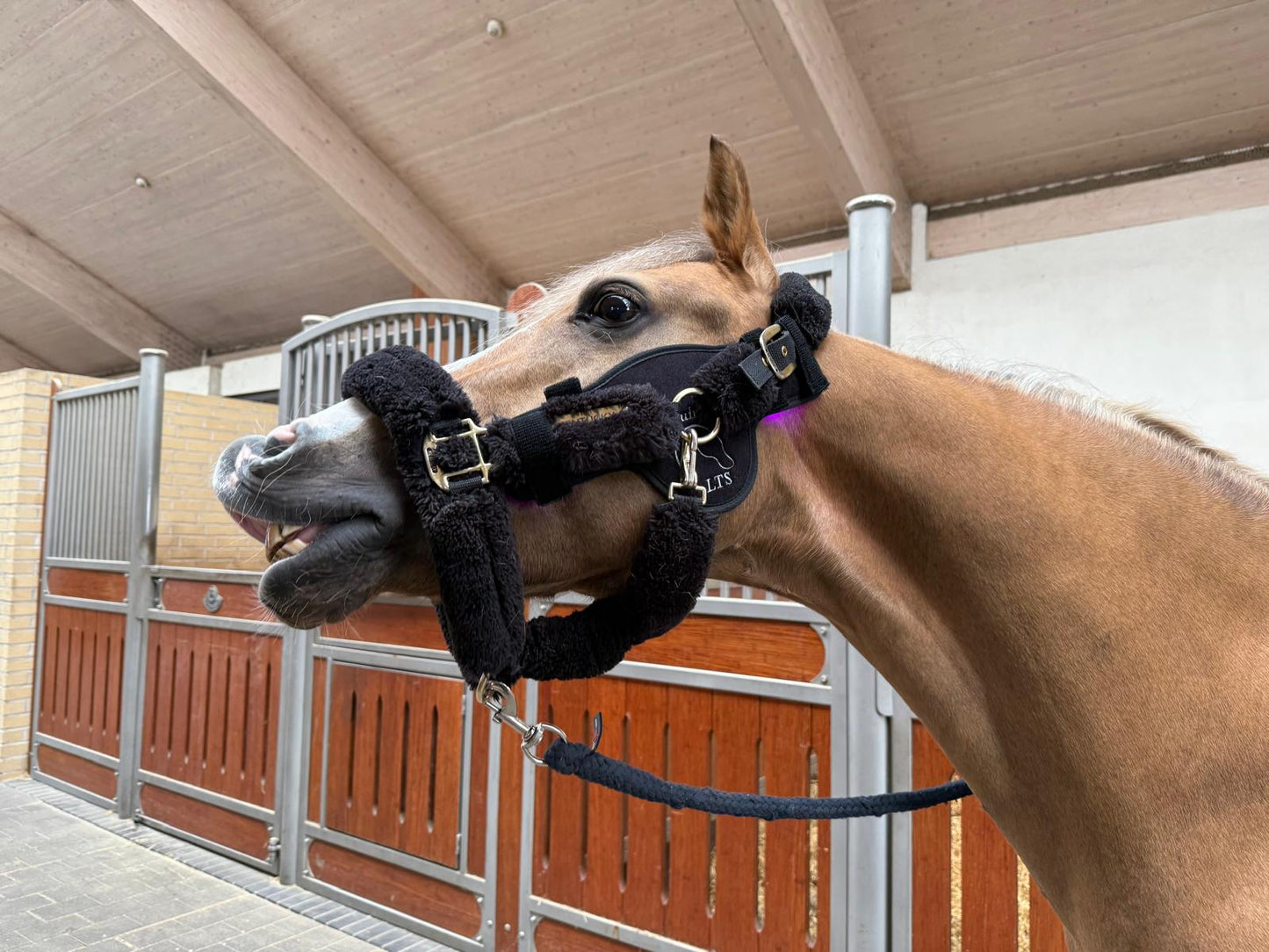 Versatile Poll 2.0 Supreme + Elastic belt