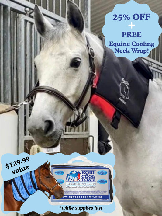 Equine LTS R-Serie Mini Pro Wrap (Red & Near-InfraRed) + 🎁 FREE EquiCoolDown Neck Wrap