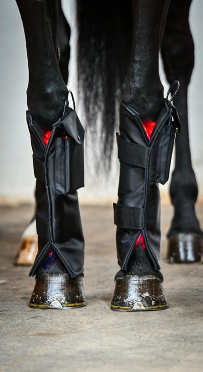 Equine LTS RED Edition - 1 Piece (Single)