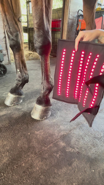 Equine LTS RED Edition - 1 Piece (Single)