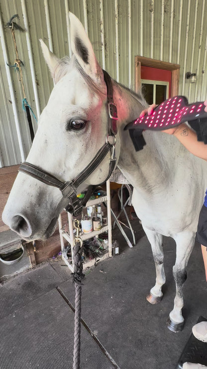 Versatile LTS Poll Cap Red Edition