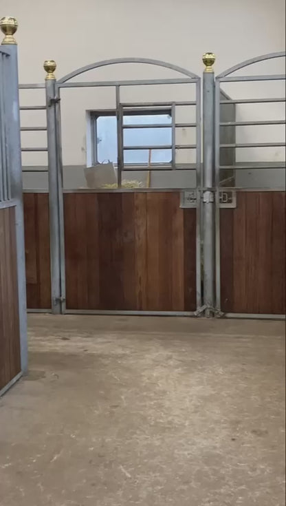 Equine LTS RED Edition - 2 Pieces (Pair)